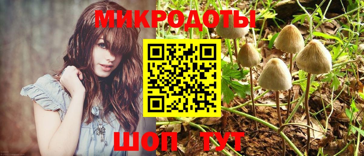 Великий Новгород  Псилоцибиновые грибы GOLDEN TEACHER  Вход с VPN 